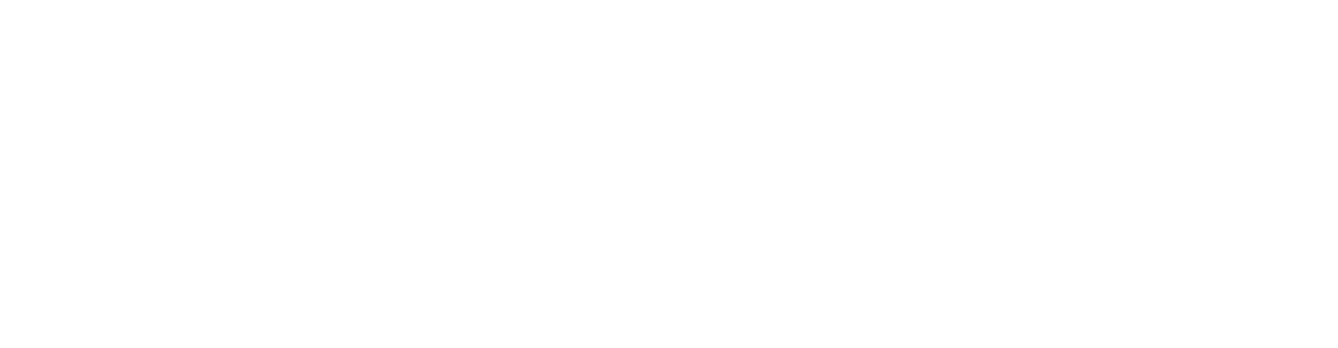 Lightwave AV Logo